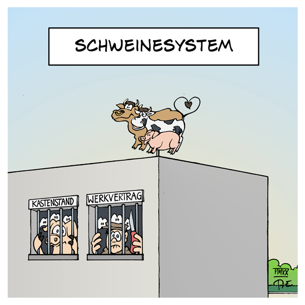 Schweinesystem